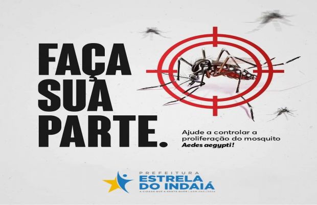 Não deixar o mosquito nascer é responsabilidade de todos.