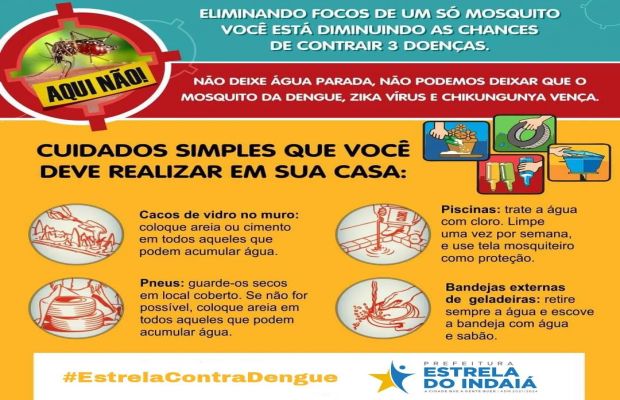 Não deixar o mosquito nascer é responsabilidade de todos.